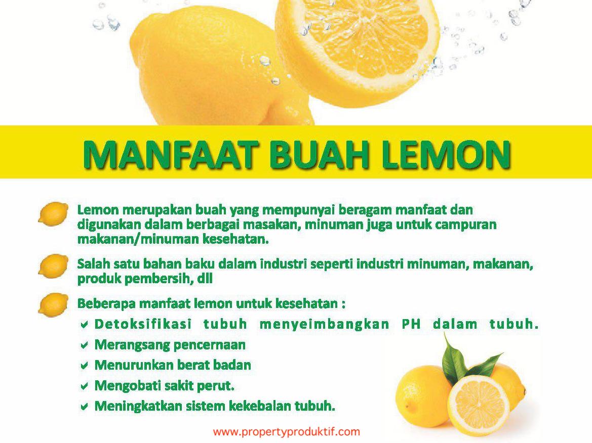 manfaat lemon kavling aljami bee garden